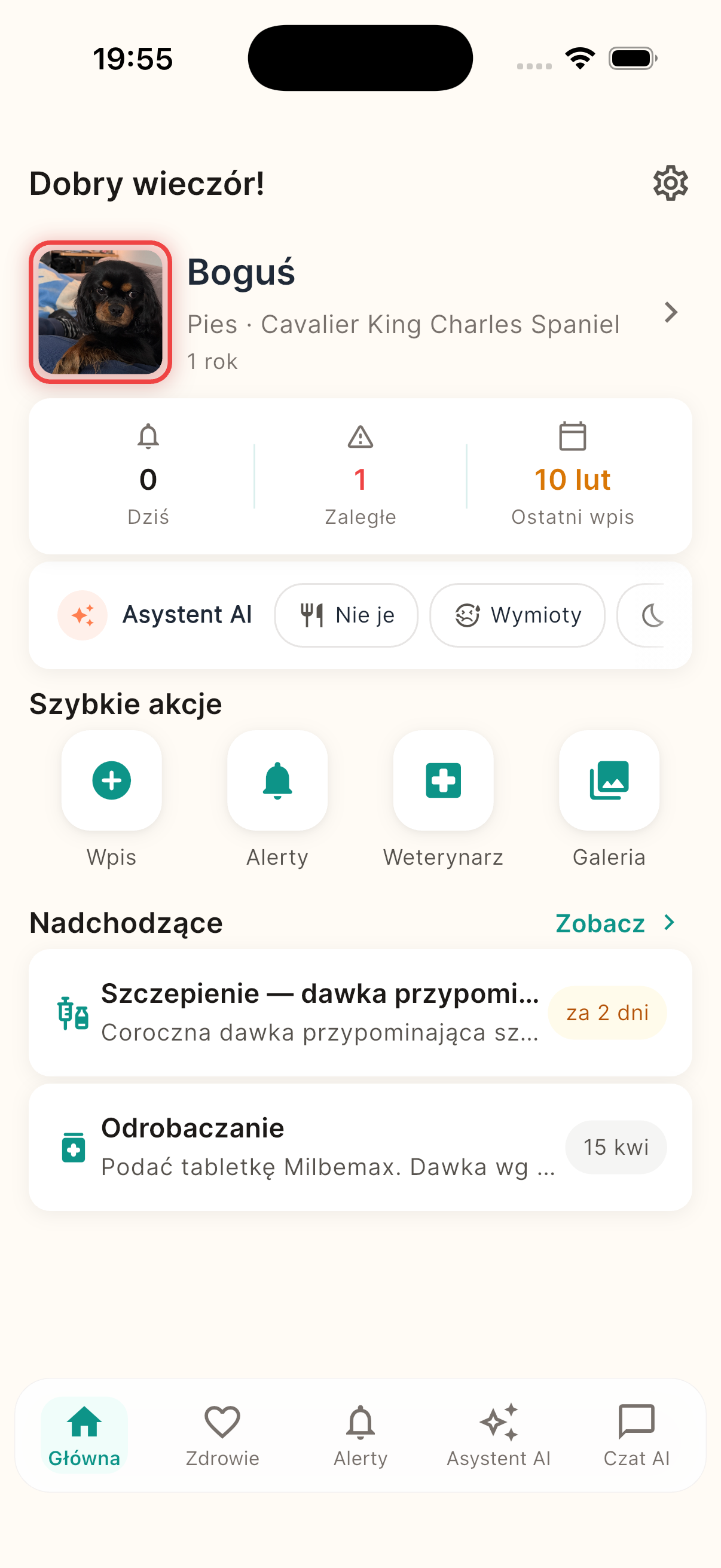Pupsy app screenshot showing pet health dashboard for Boguś the dog